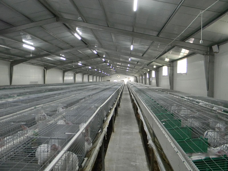 養(yǎng)兔工程案例(圖1) 養(yǎng)兔工程案例(圖1)