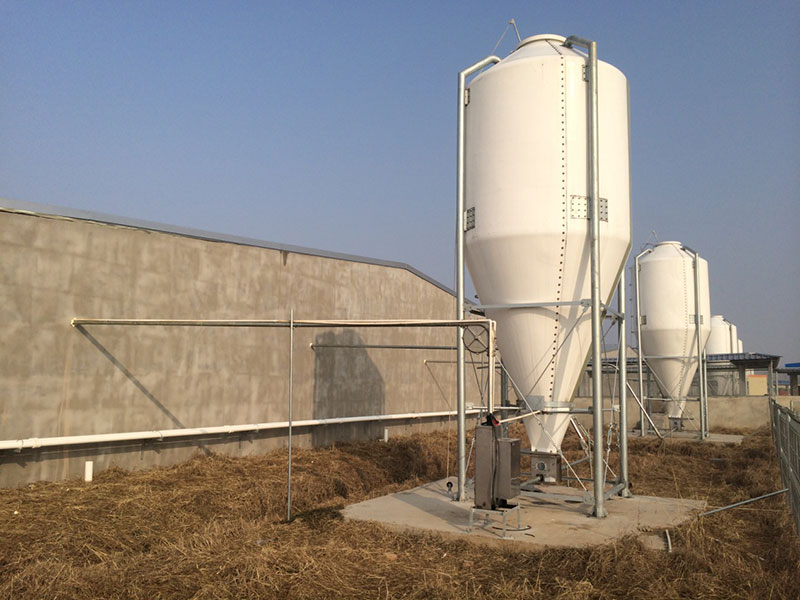 Pig project case(圖1) Pig project case(圖1)