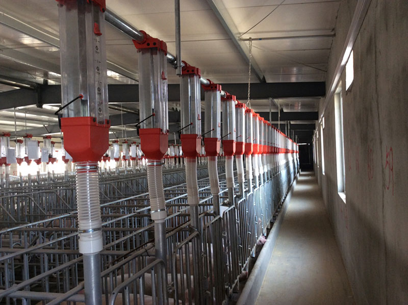 Pig project case(圖3) Pig project case(圖3)